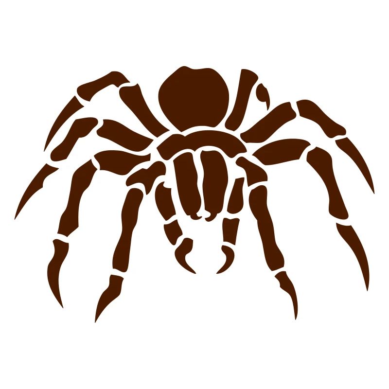 araignee spider spinne ragno arana 2011