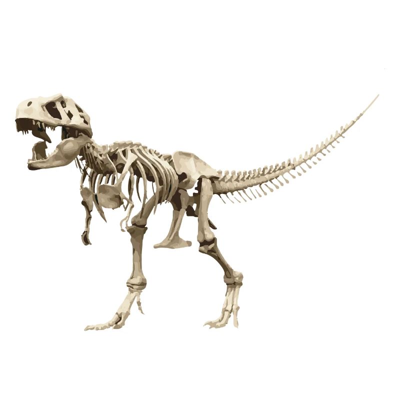 T-rex skeleton