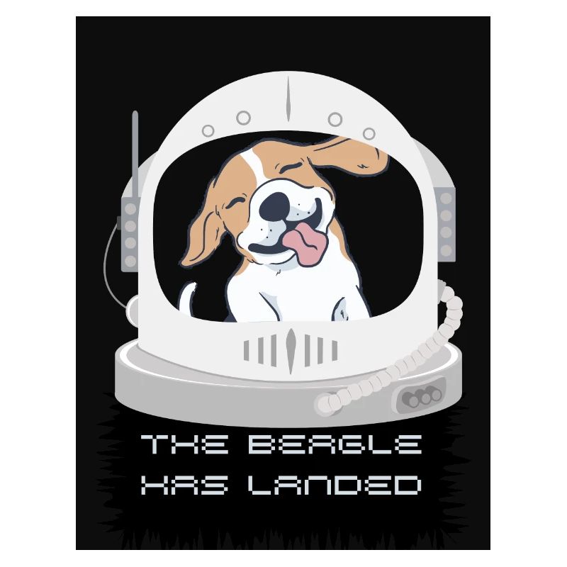 Le Beagle a atterri