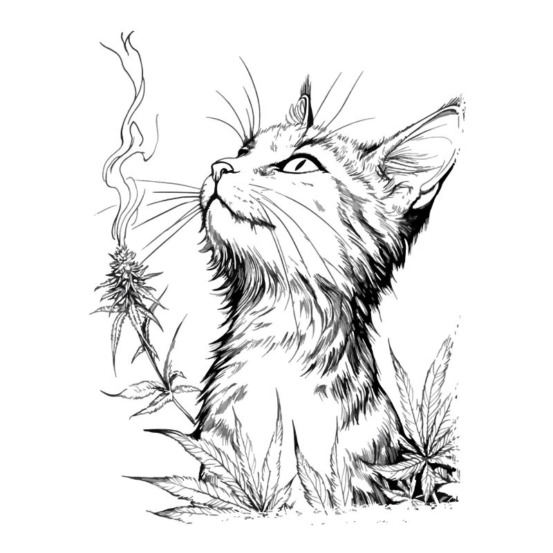 Katze mit Cannabis: Stubentiger genießt Joint