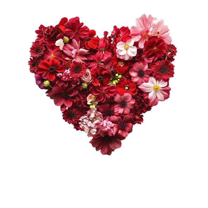 Coeur de Fleurs Rouges - Passionate Flower Pr