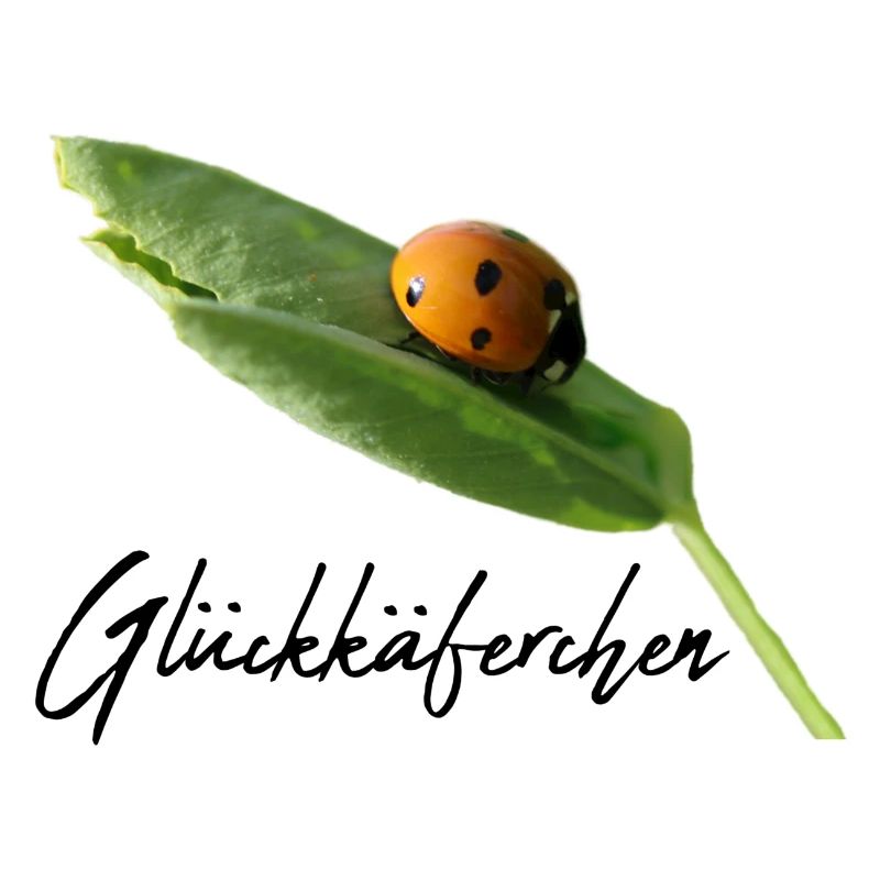 Lucky Beetle Ladybug Lucky Charm