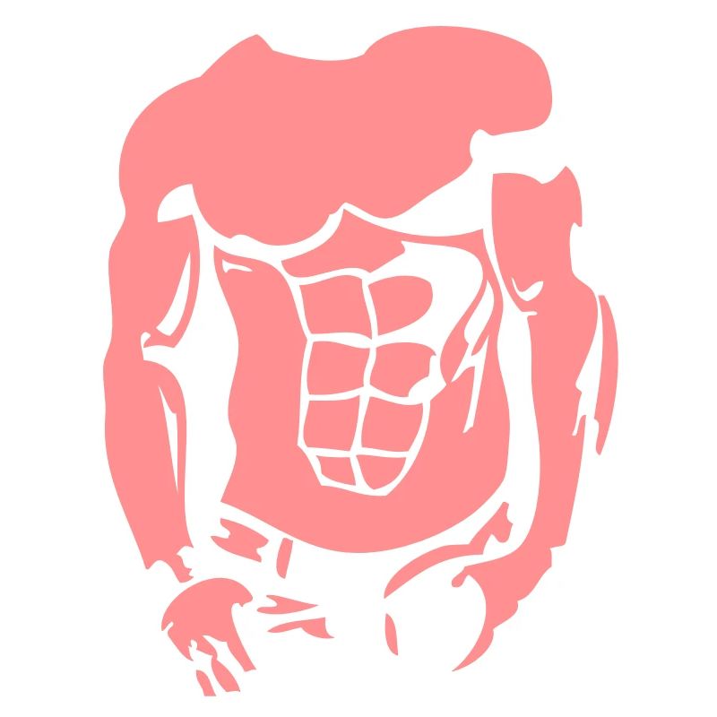 muscle2 Körper