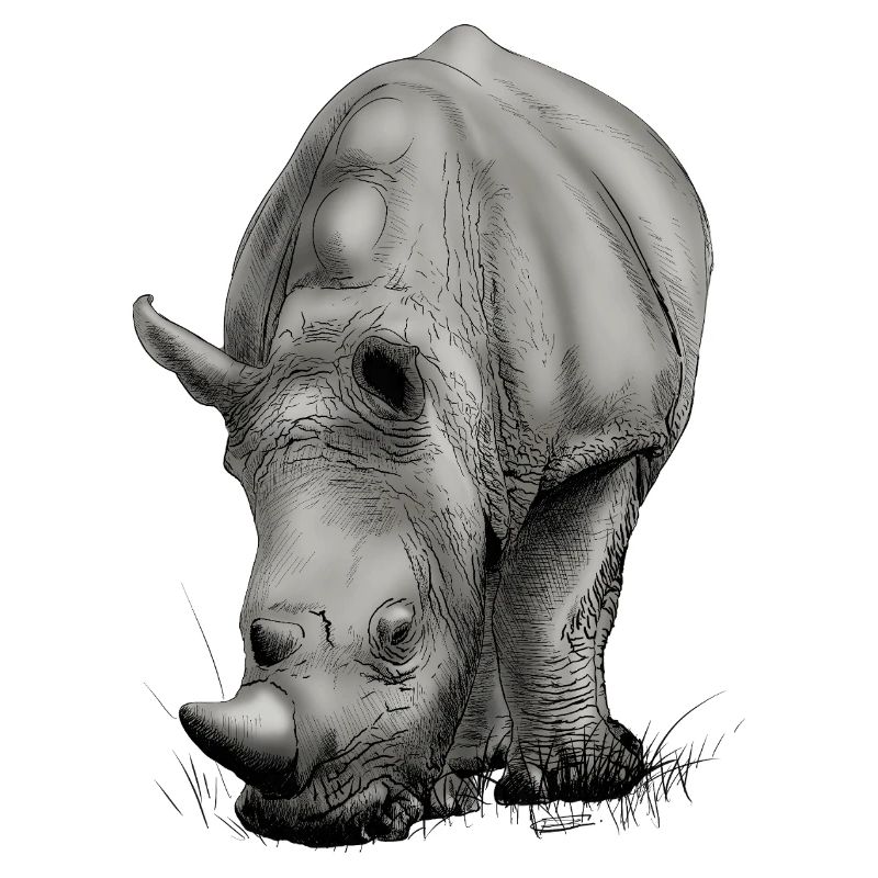 Realistic Rhino creative design
