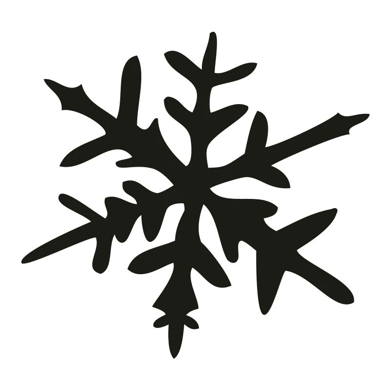 Eiskristall