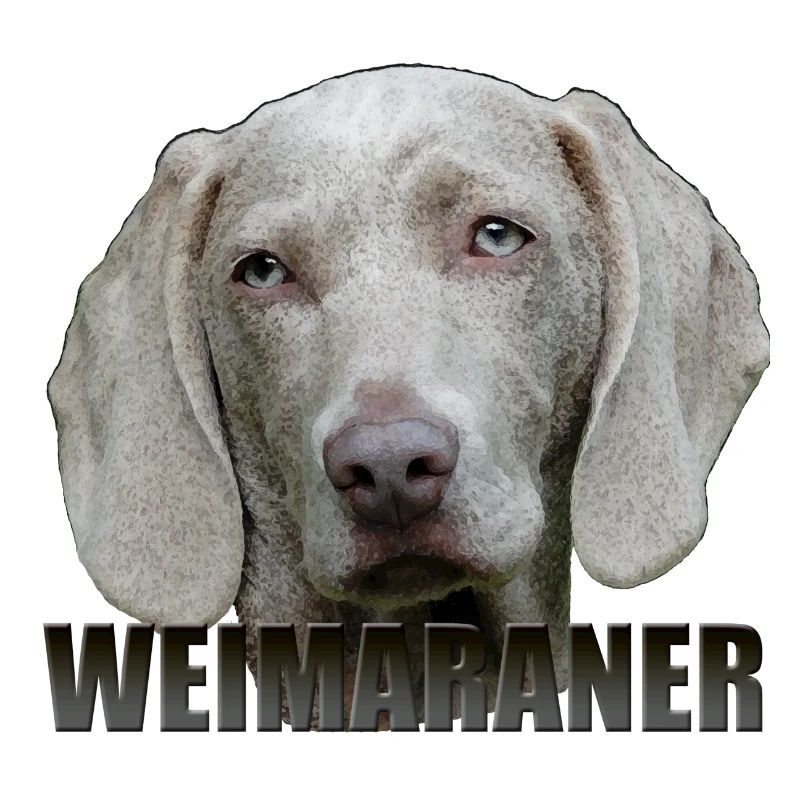 Braque de Weimar