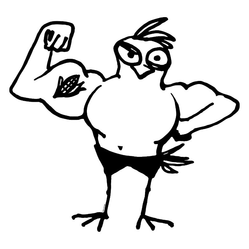 Fitness Vogel