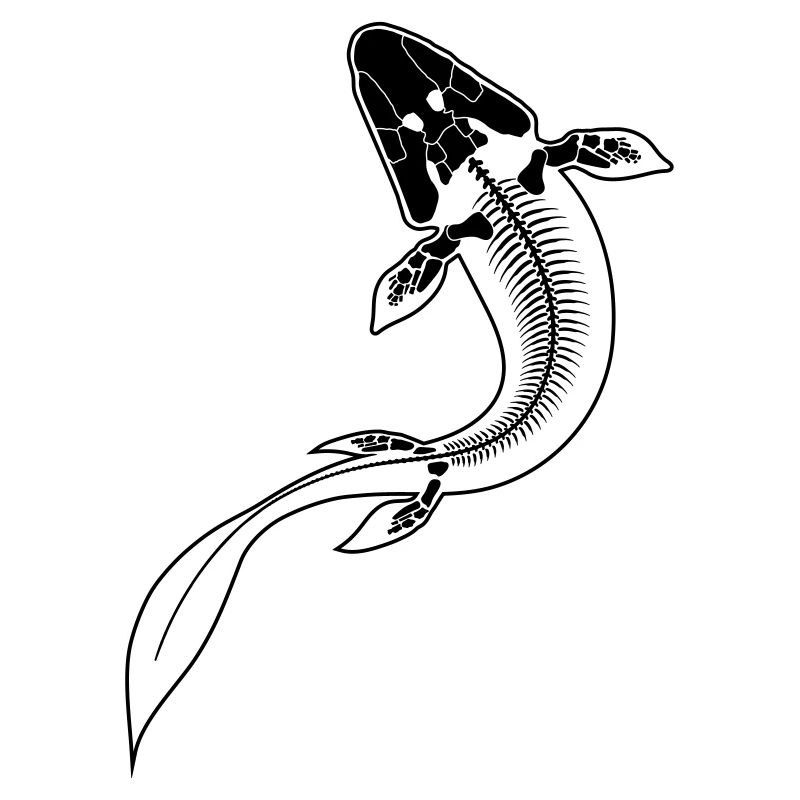 Tiktaalik