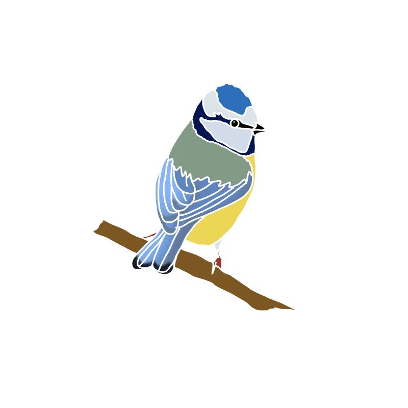 mésange