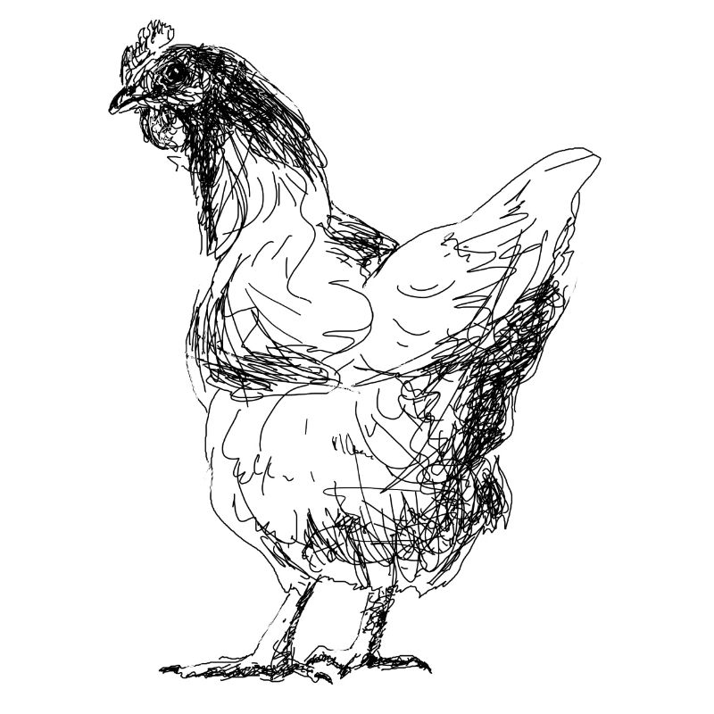 Poulet