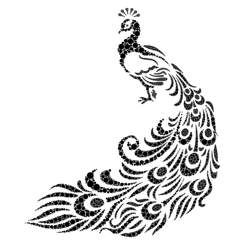 peacock
