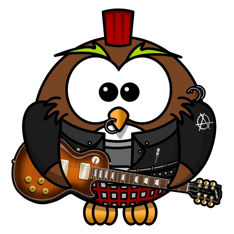 Chouette comme Punk avec guitare