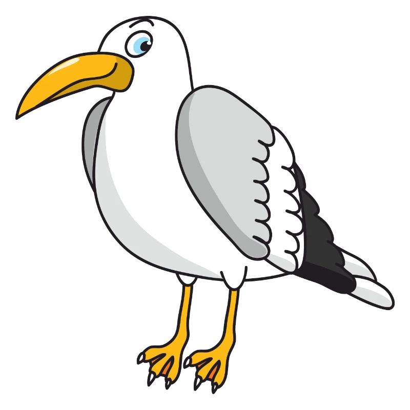 Möwe