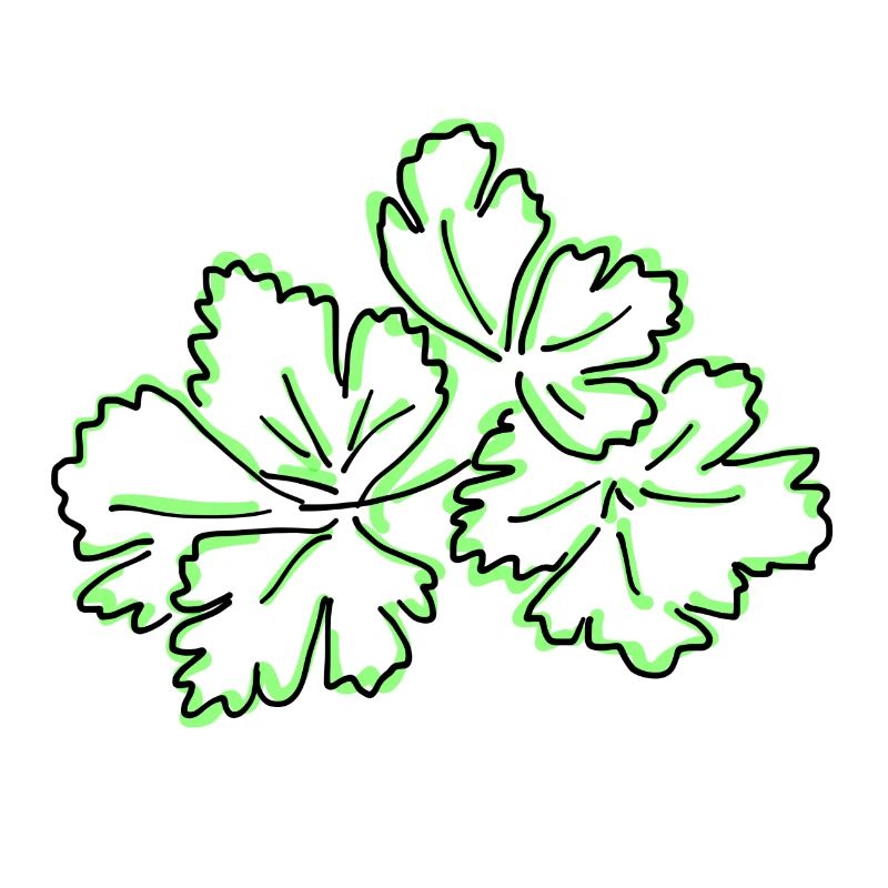 parsley