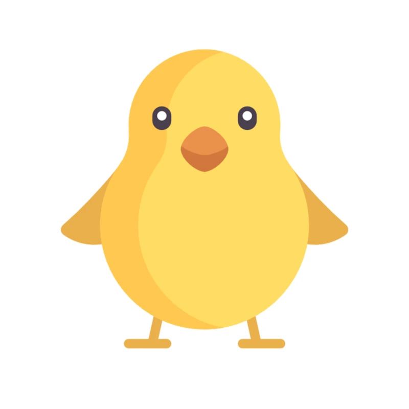 yellow chick
