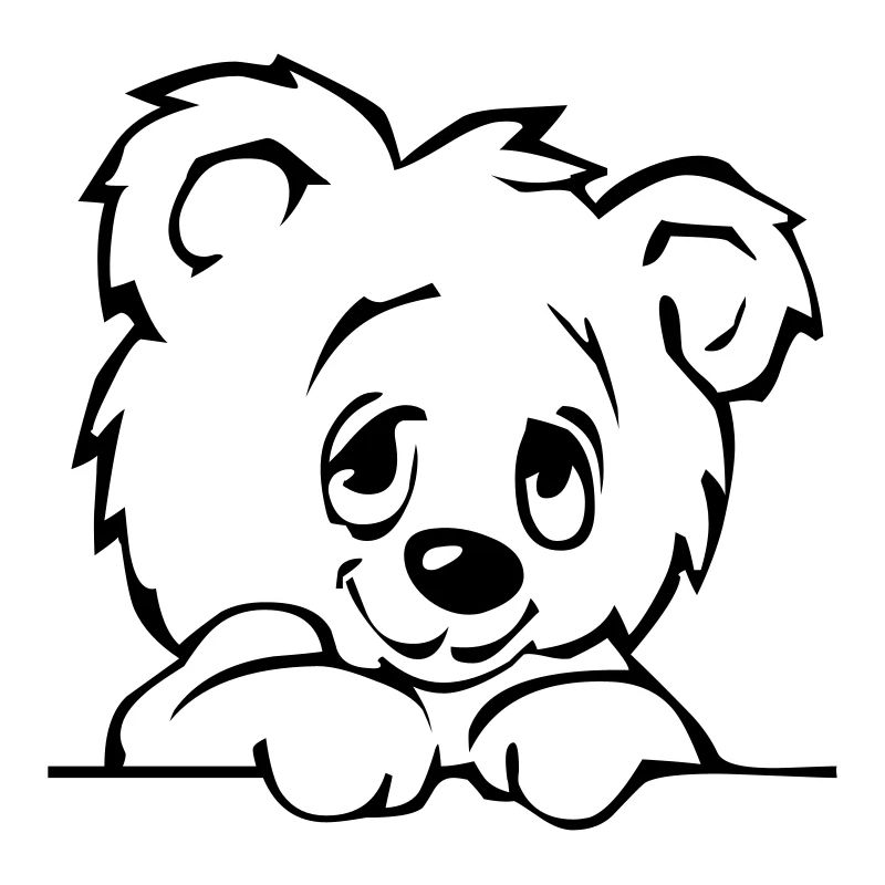 teddy3