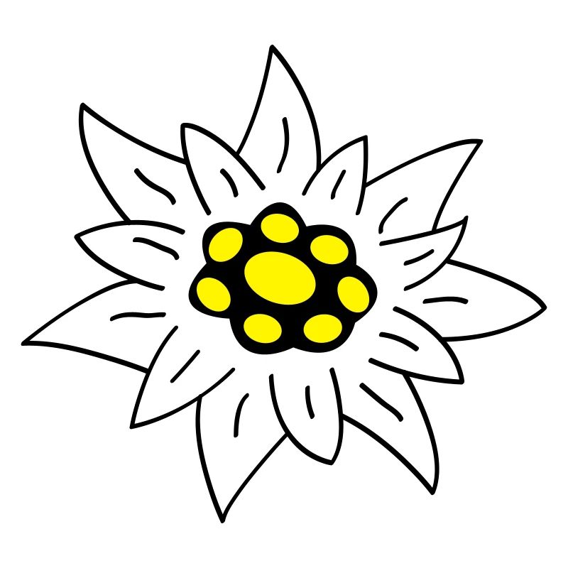 Edelweiss