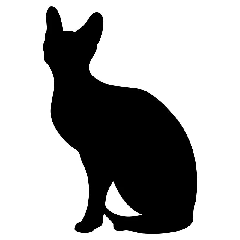 Sphynx - libre choix de la couleur