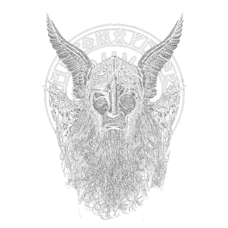 ODIN ET SES RAVENS