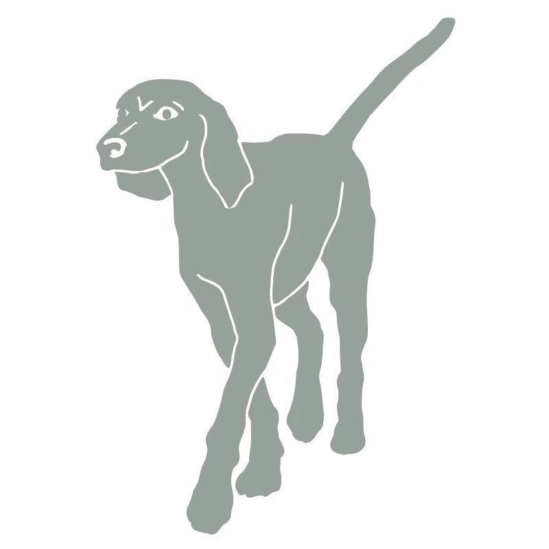 Bracke chien