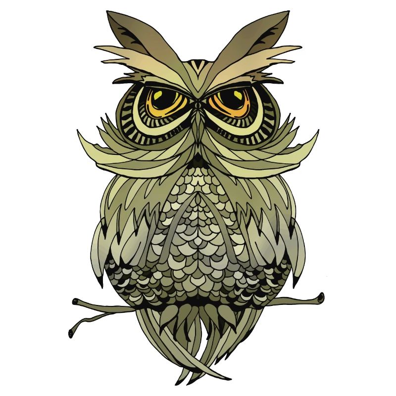 Owl bird