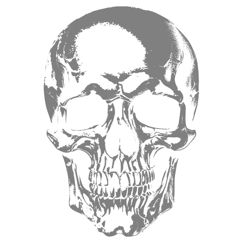 Monochrome Skull Graphic