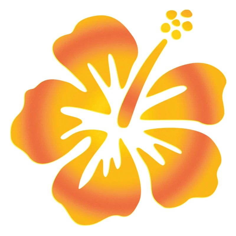Hibiscus jaune