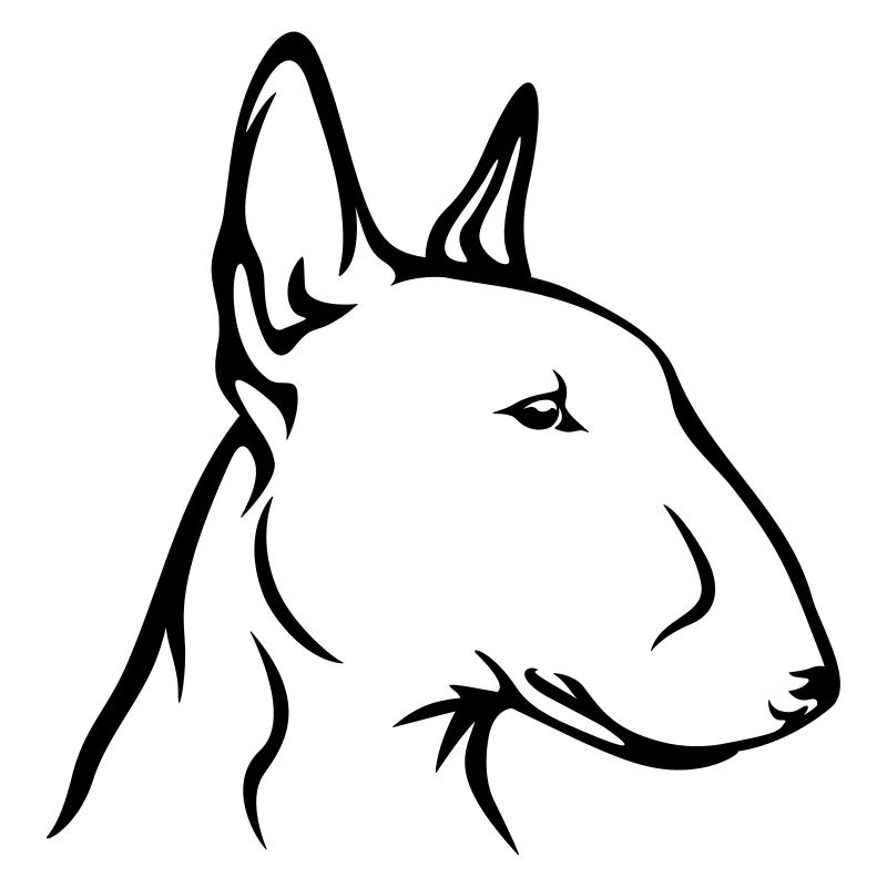 Bullterrrier