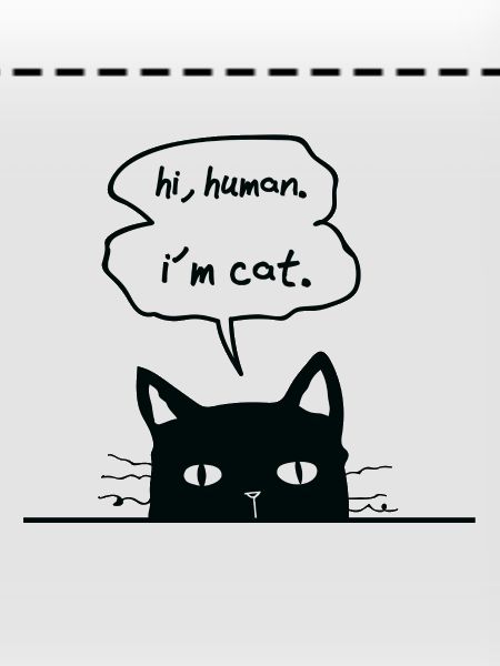 cat lovers