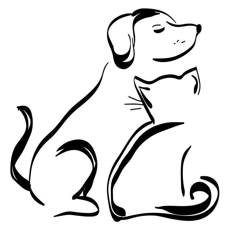 Chien