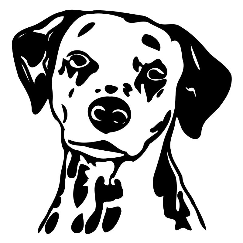 dalmatiner_hund