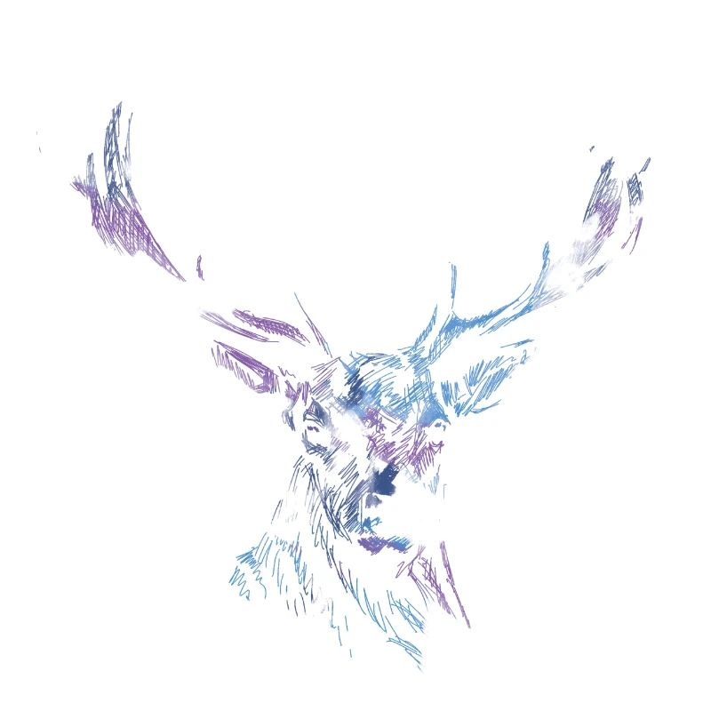Tête de cerf