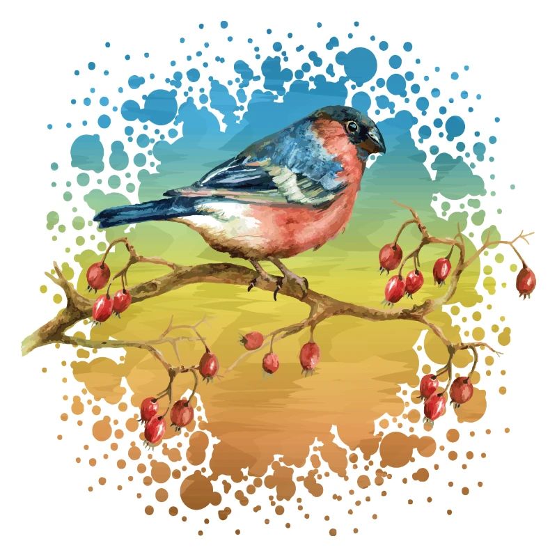 Bunter Vogel