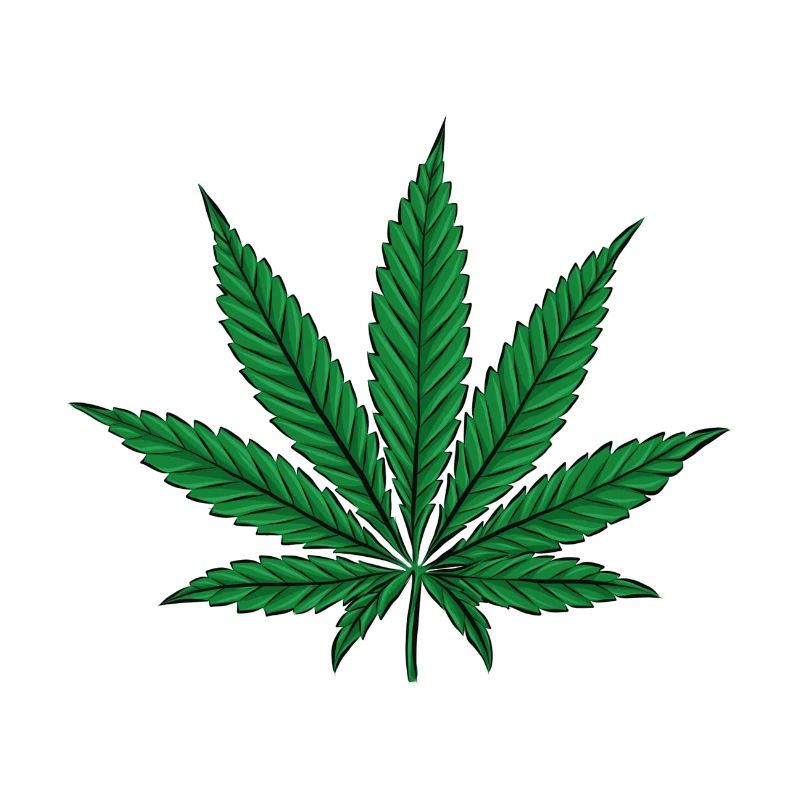 Cannabis Blatt