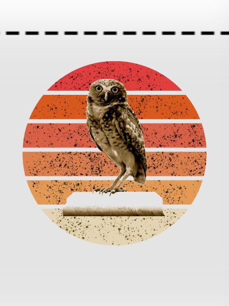 The Owl