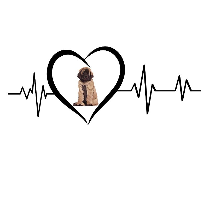 Leonberg Heartbeat