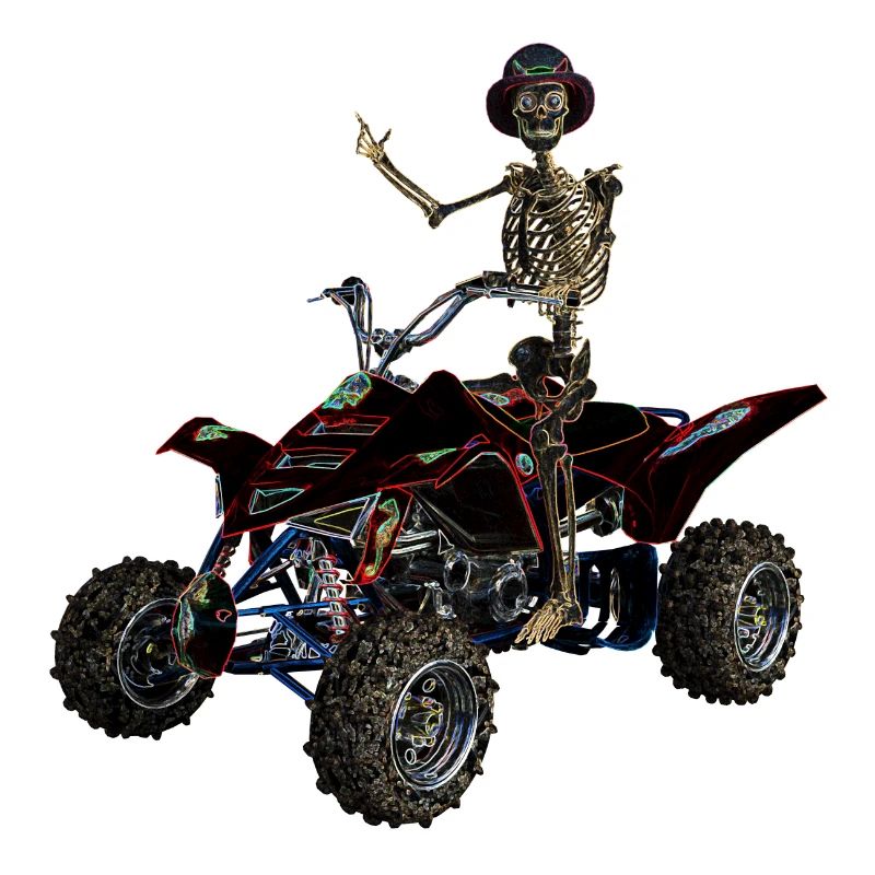 Skeleton Conduite Quad