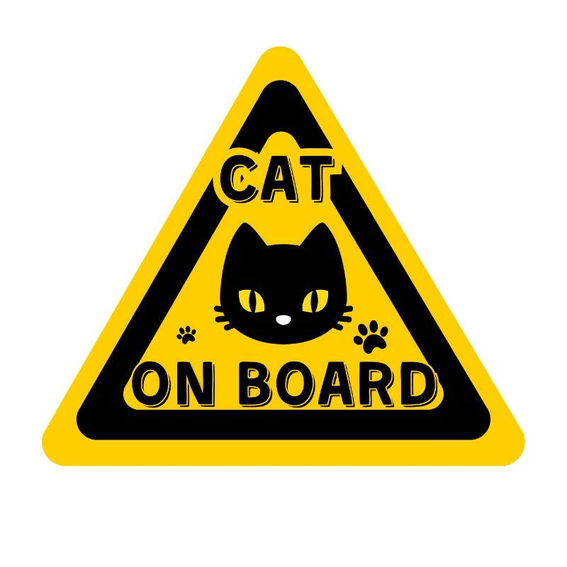 Cat on board - humor