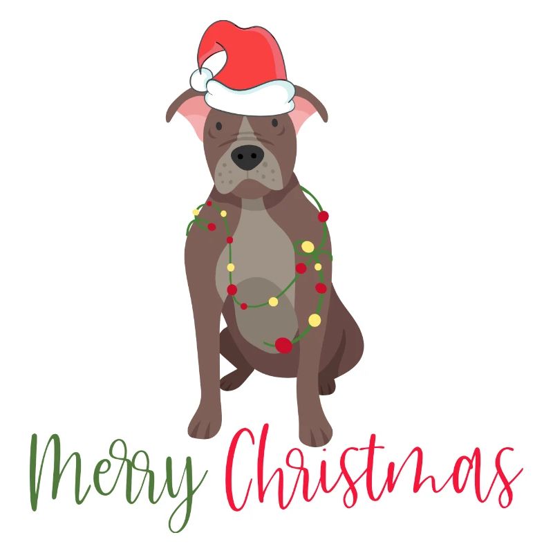 Bouledogue américain, Bully, Noël, Noël