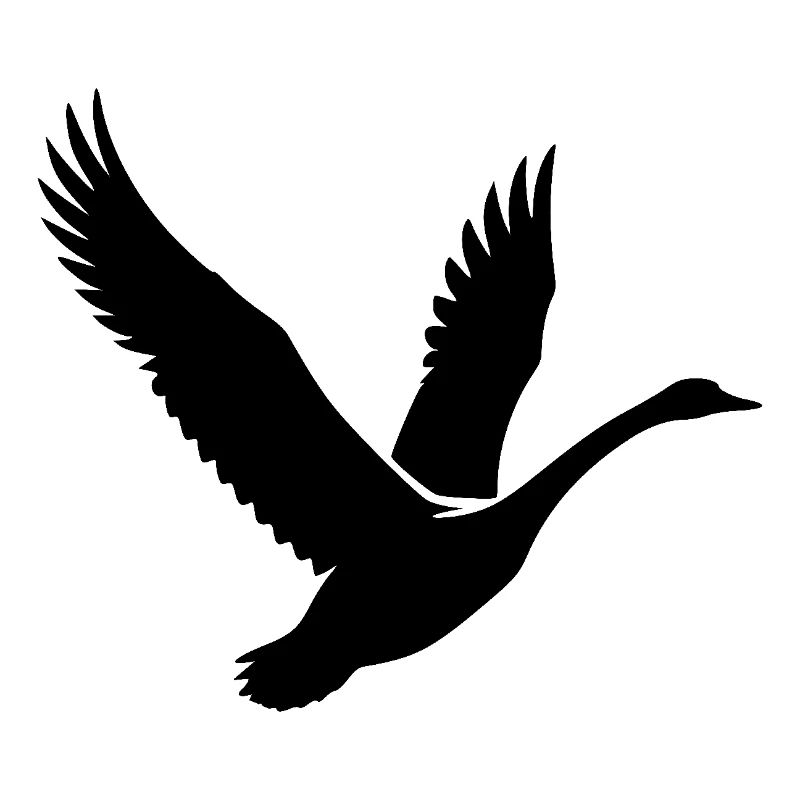 Cygne volant élégant