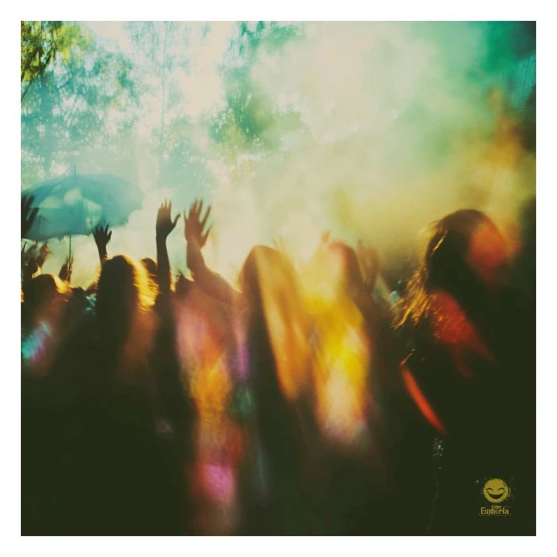 Festival euphoria