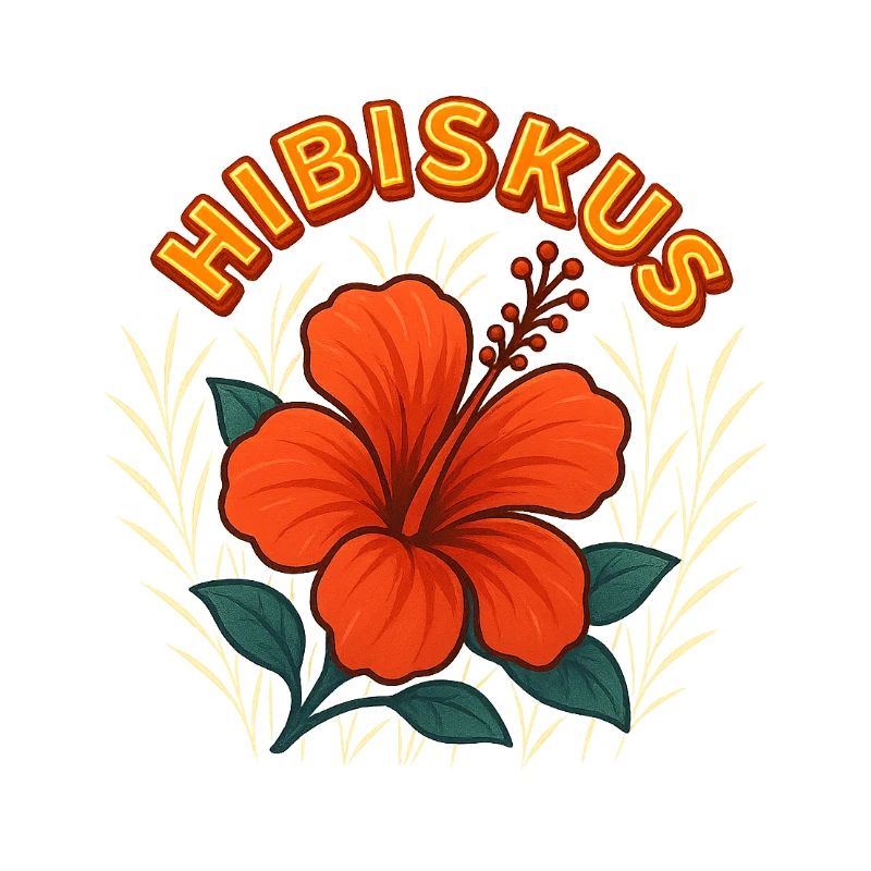 Hibiskus
