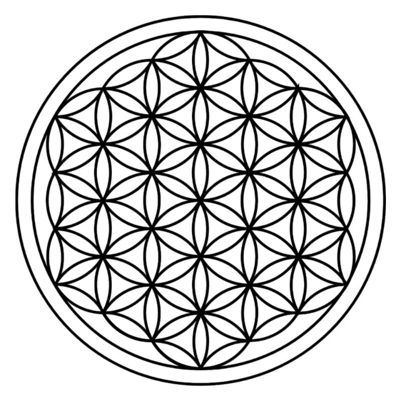 Blume des Lebens - Heilige Geometrie