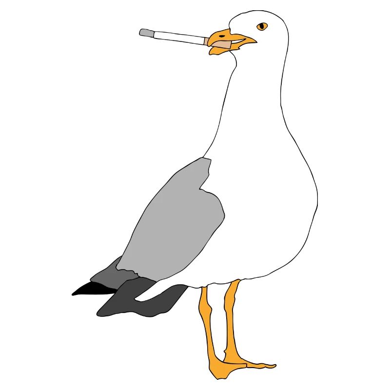 Seagul smoking