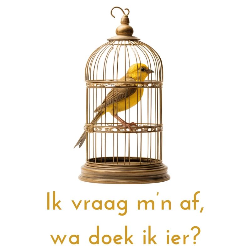 Je me demande? Dialecte anversois Chemises
