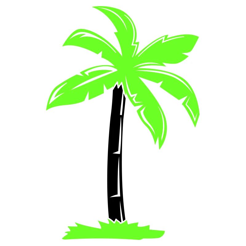palm tree