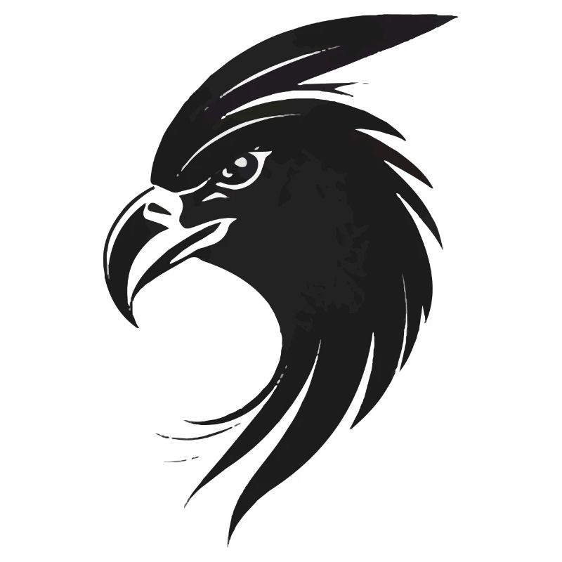 Adler Greifvogel Kopf