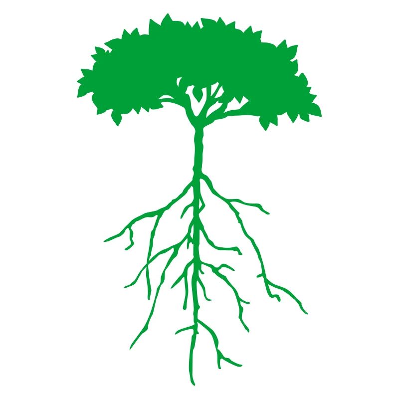 root tree