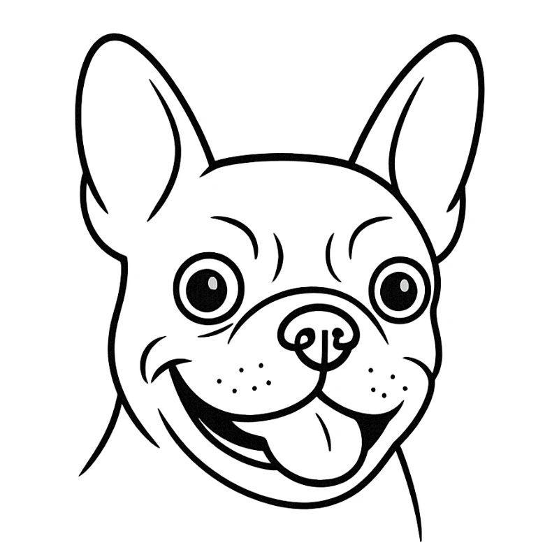 TinyPaws Black & White Edition Bulldogge Style b