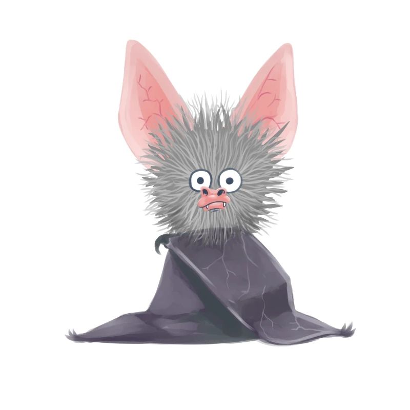 Chauve-souris, Noctambule, Suceur De Sang, Faune, Bébé